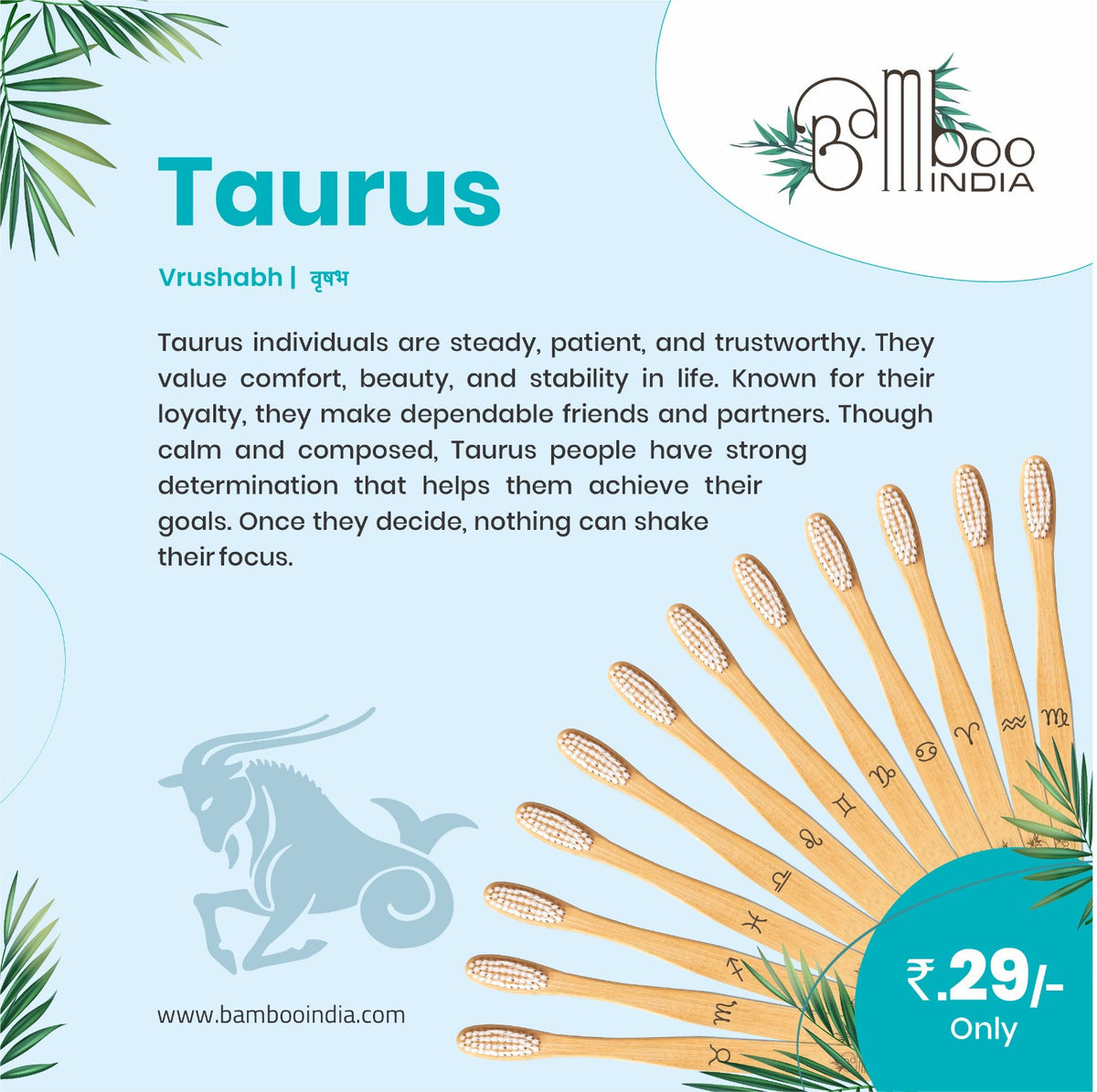 WhatsApp_Image_2025-09-