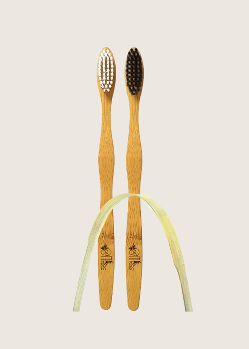 Bambooindia toothbrush store