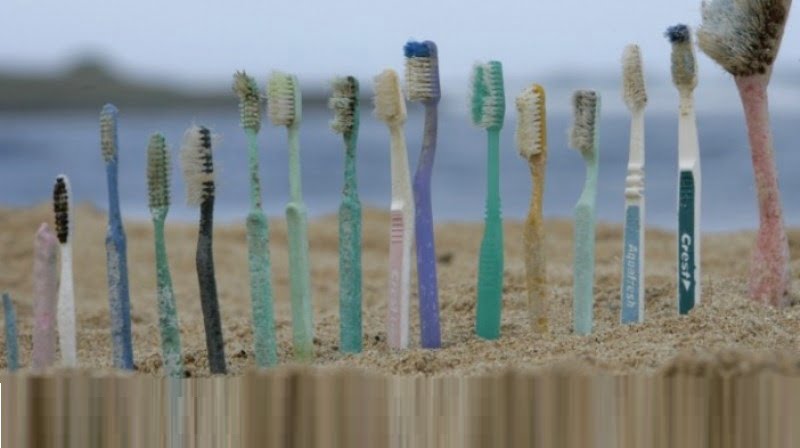 Why you should switch to Bamboo toothbrushes!