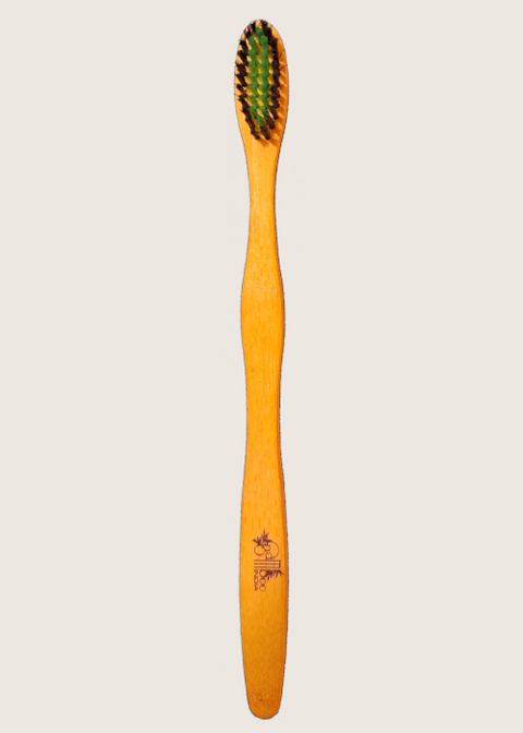 【bamboooooページ】 Bamboo Toothbrush Charcoal Neem Adult | Bamboo India