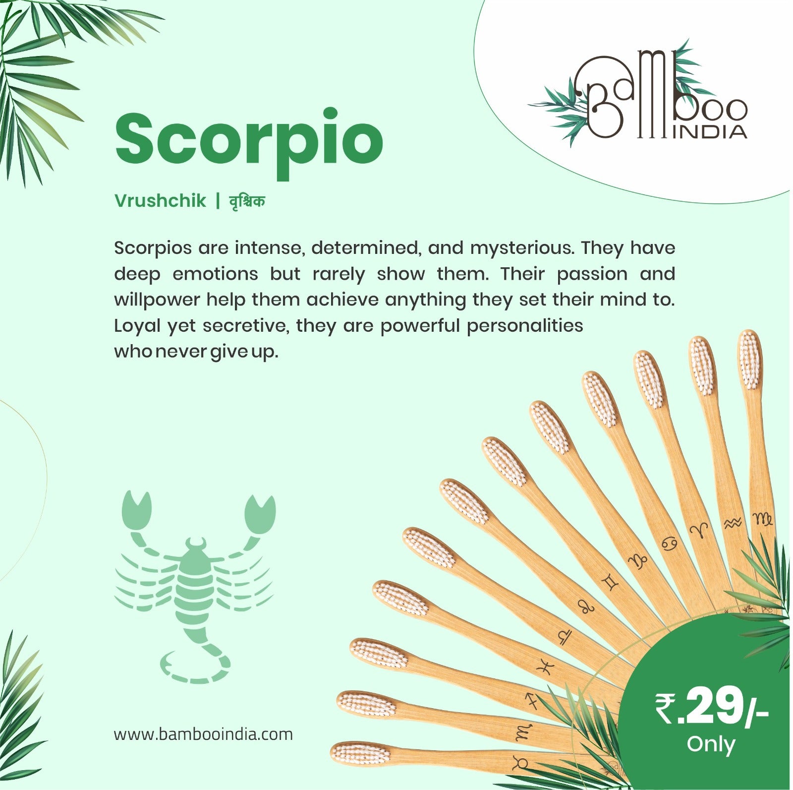 Bamboo Toothbrush - Zodiac - Pack of 12 brushes | Bamboo India