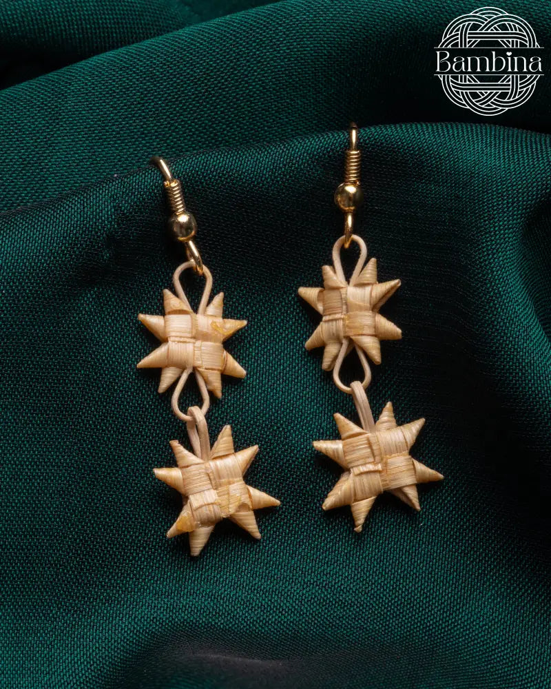 Double Layer Flat Star Earrings