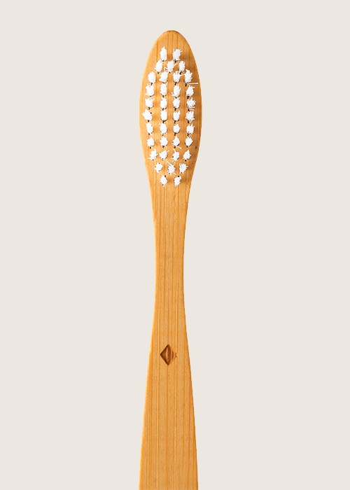 Bamboo Toothbrush Standard Adult - Medium