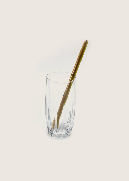 Bamboo Natural Straws (pack of 4) with cleaner